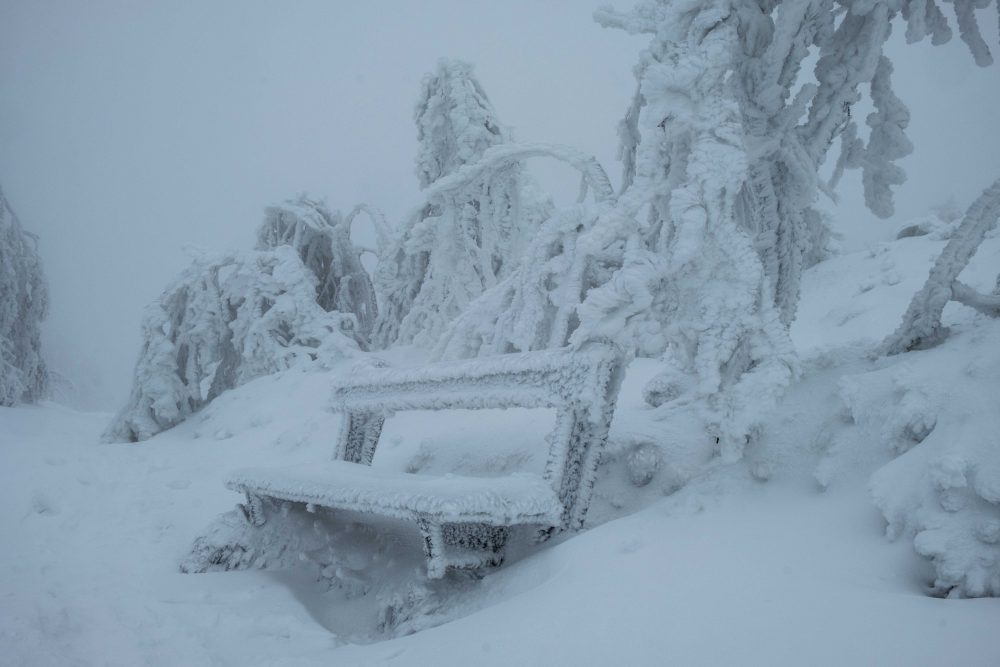 Photos : Les Vosges sous la neige ! 3• 100% Vosges DSCF3551-2