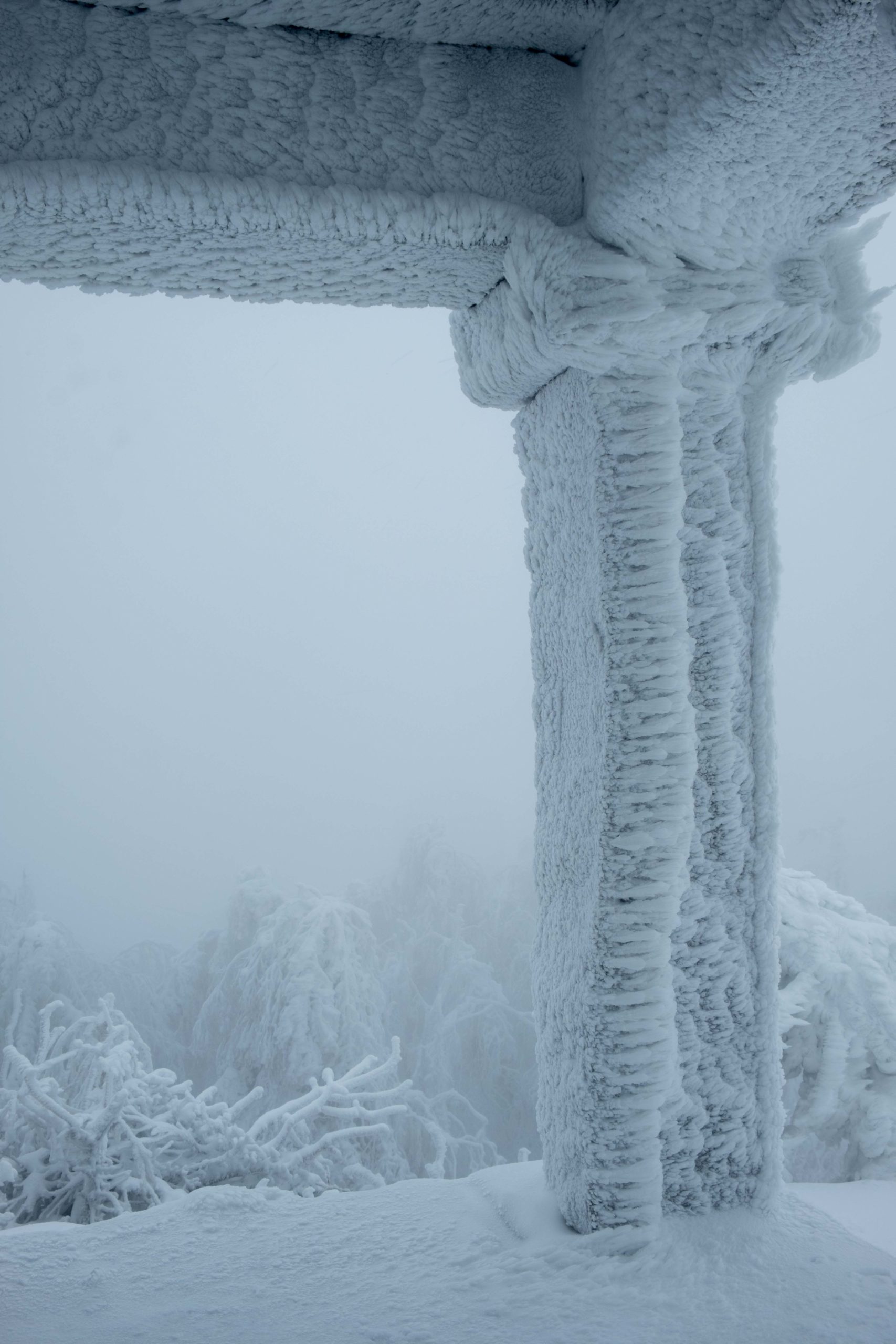 Photos : Les Vosges sous la neige ! 12• 100% Vosges DSCF3556