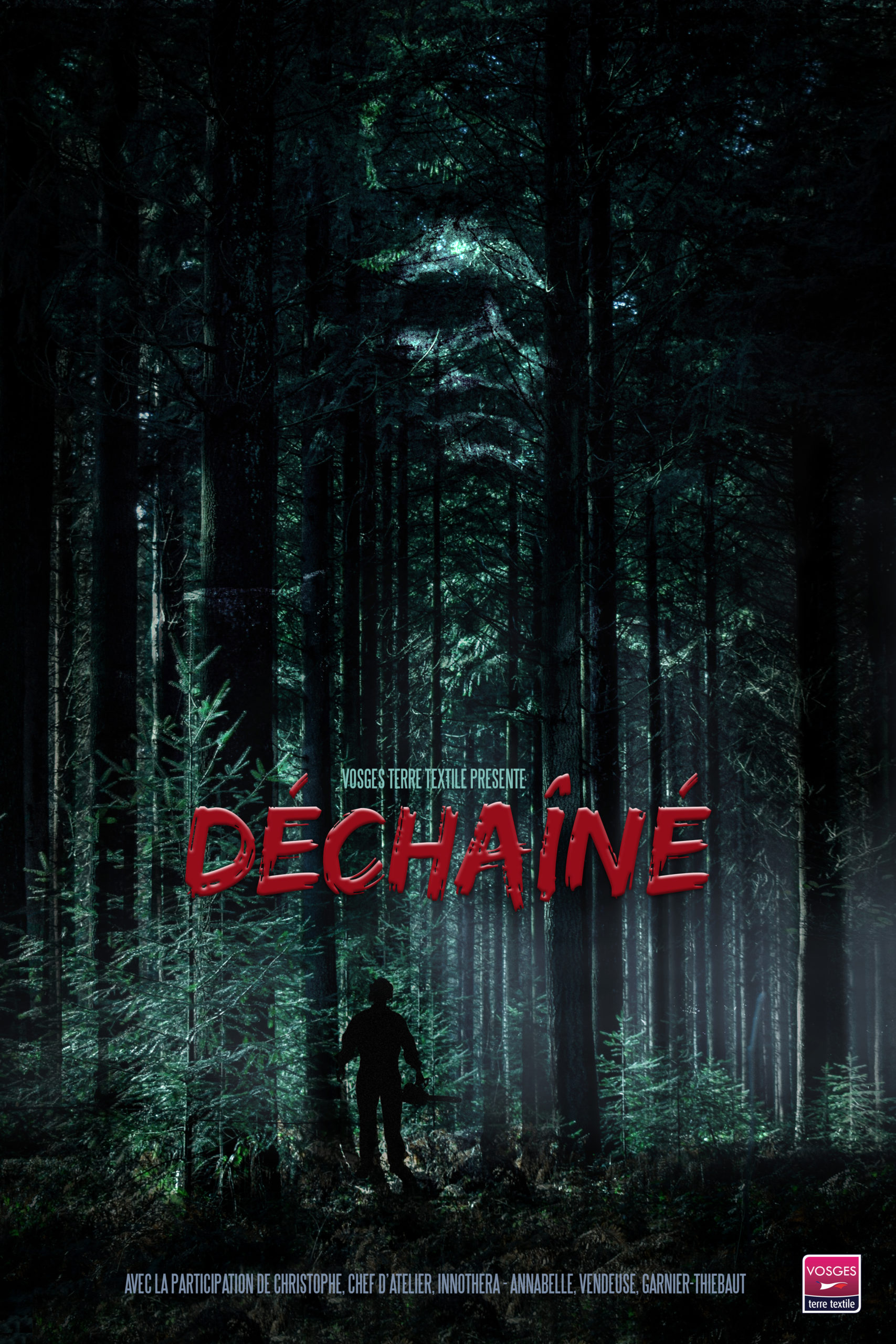 Déchainé_poster