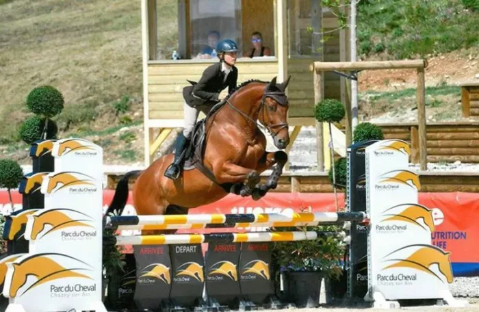 100% Vosges