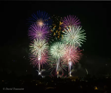 FEUX DARTIFICE David