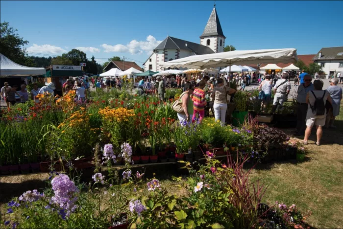 Le marché aux plantes du Haut-du-Tôt : une invitation au vert et pour tous !