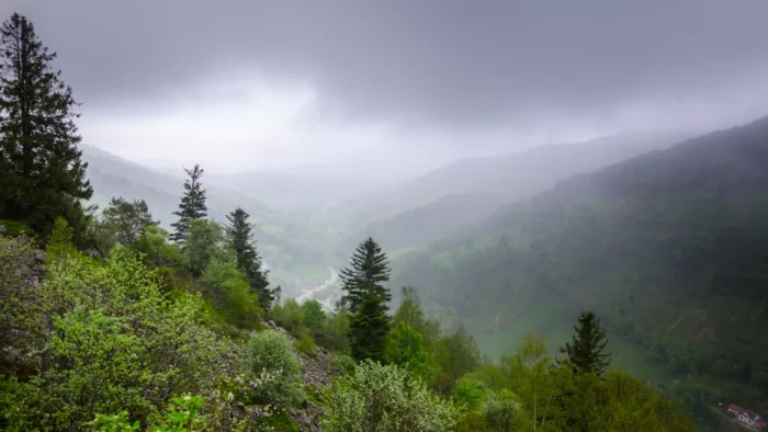 100% Vosges