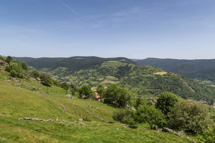 100% Vosges