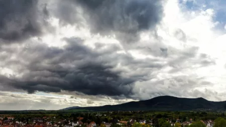 100% Vosges