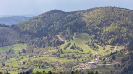 100% Vosges