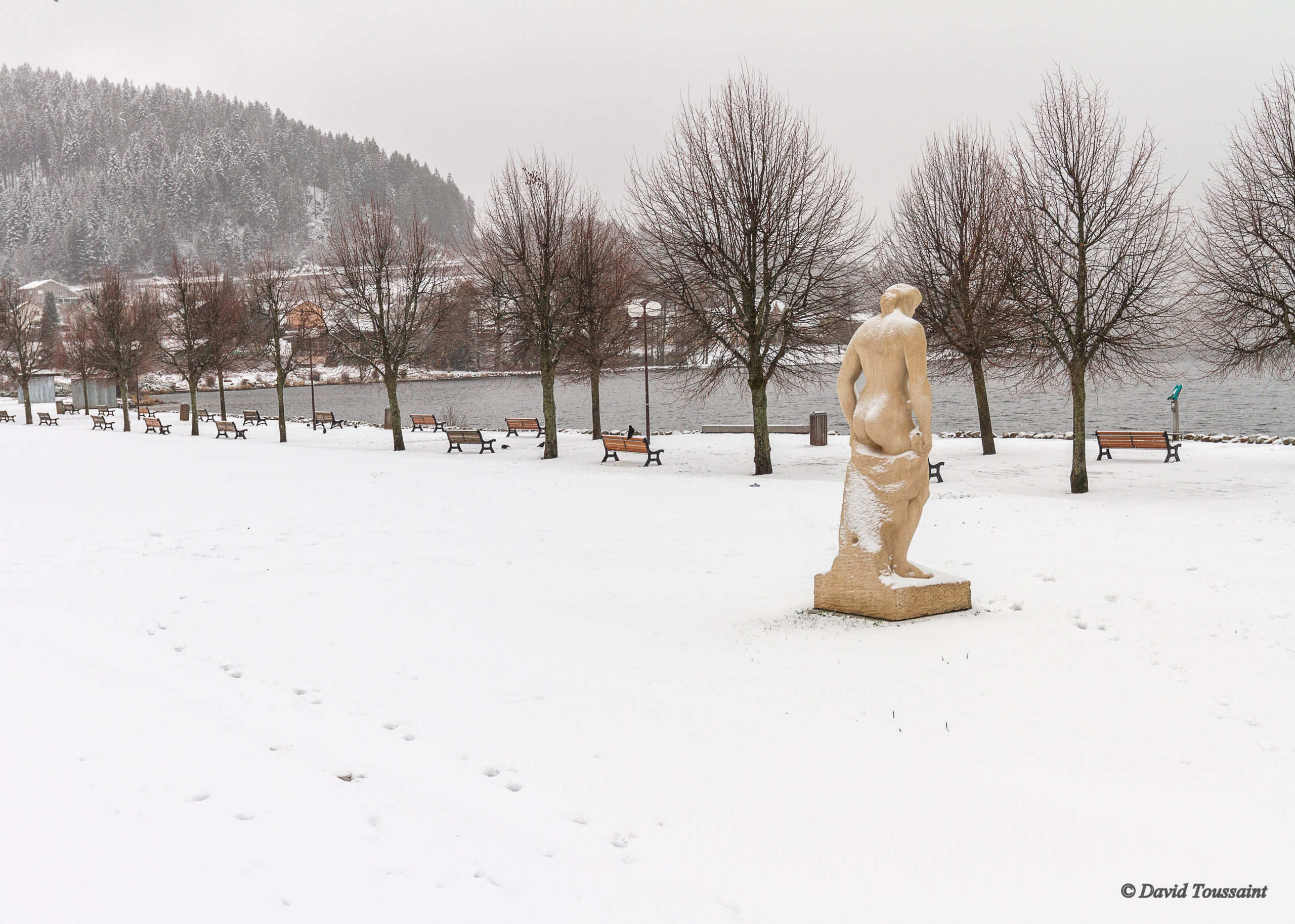 Gerardmer janvier 2019 054