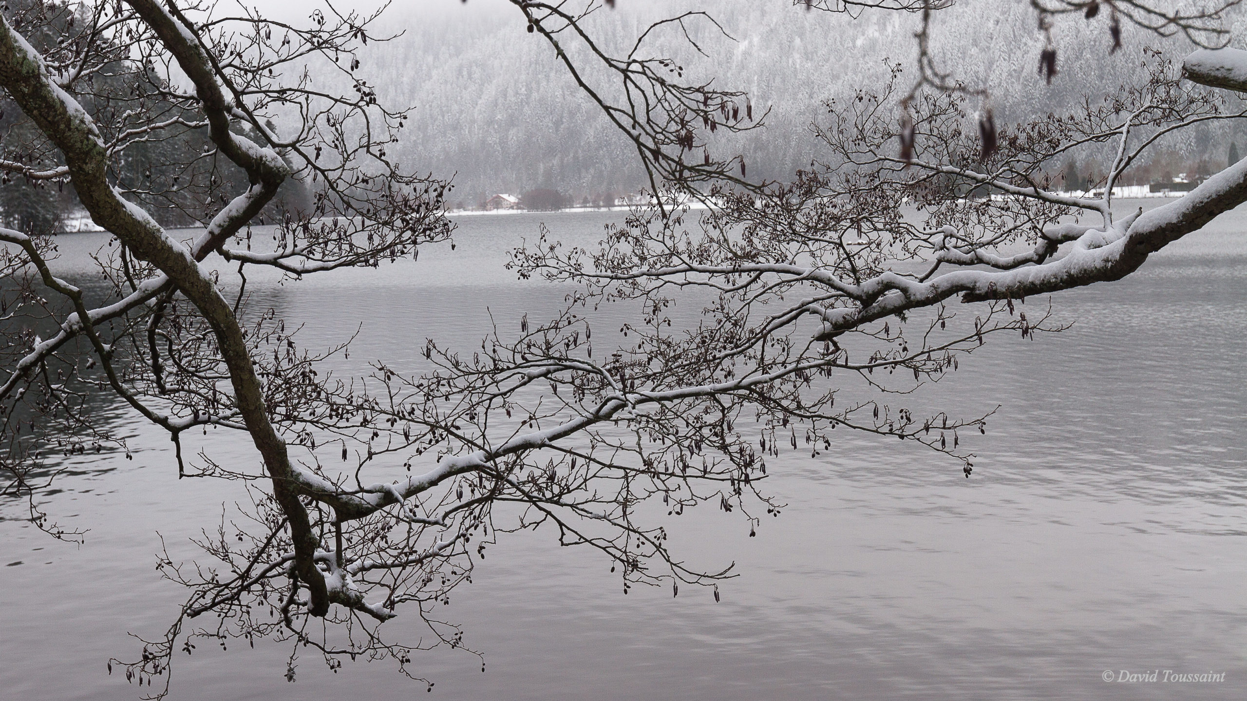 Gerardmer janvier 2019 188