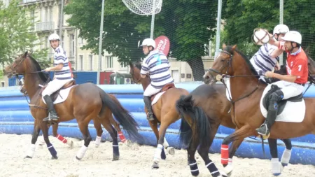 100% Vosges