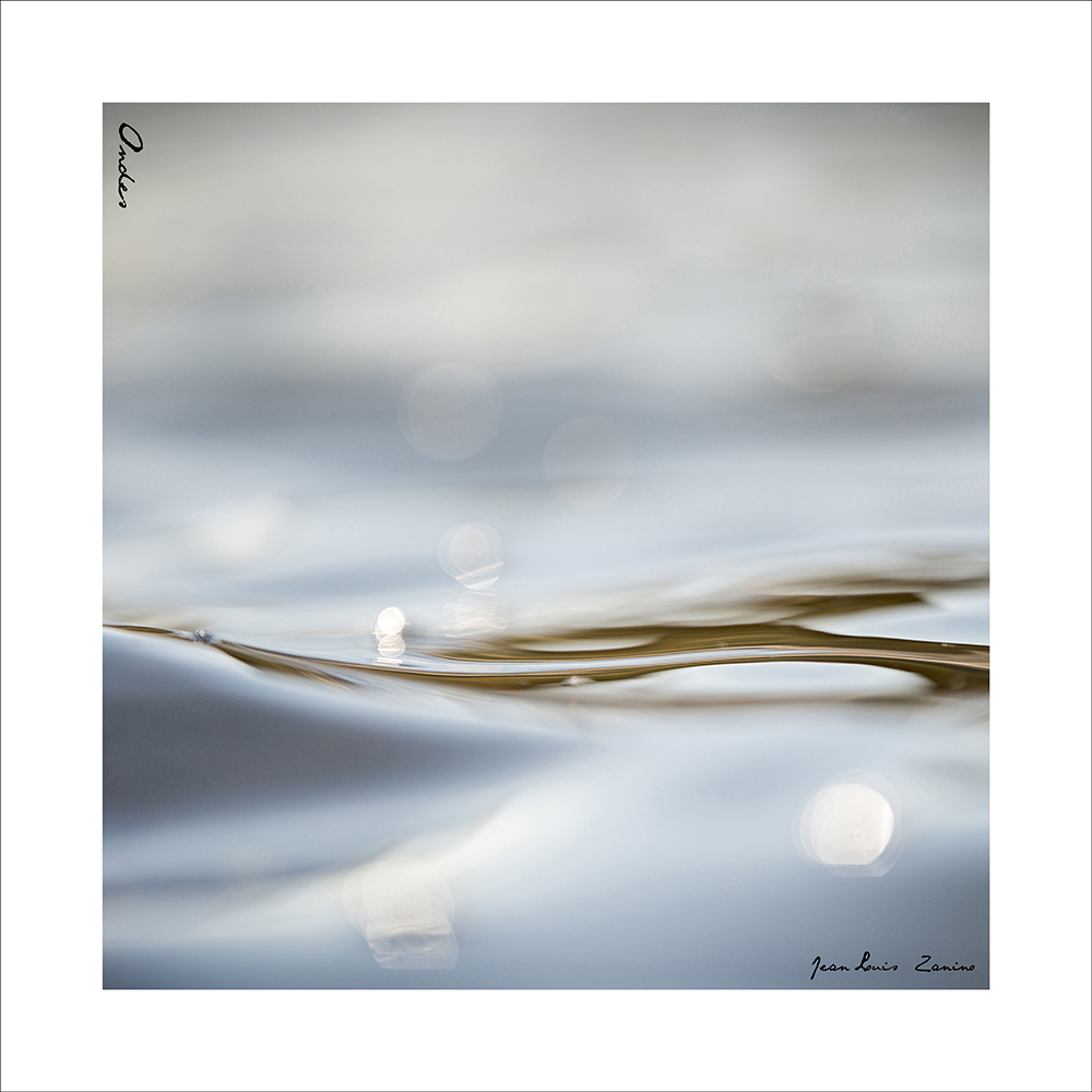 JLouis Zanino Ondes (3)