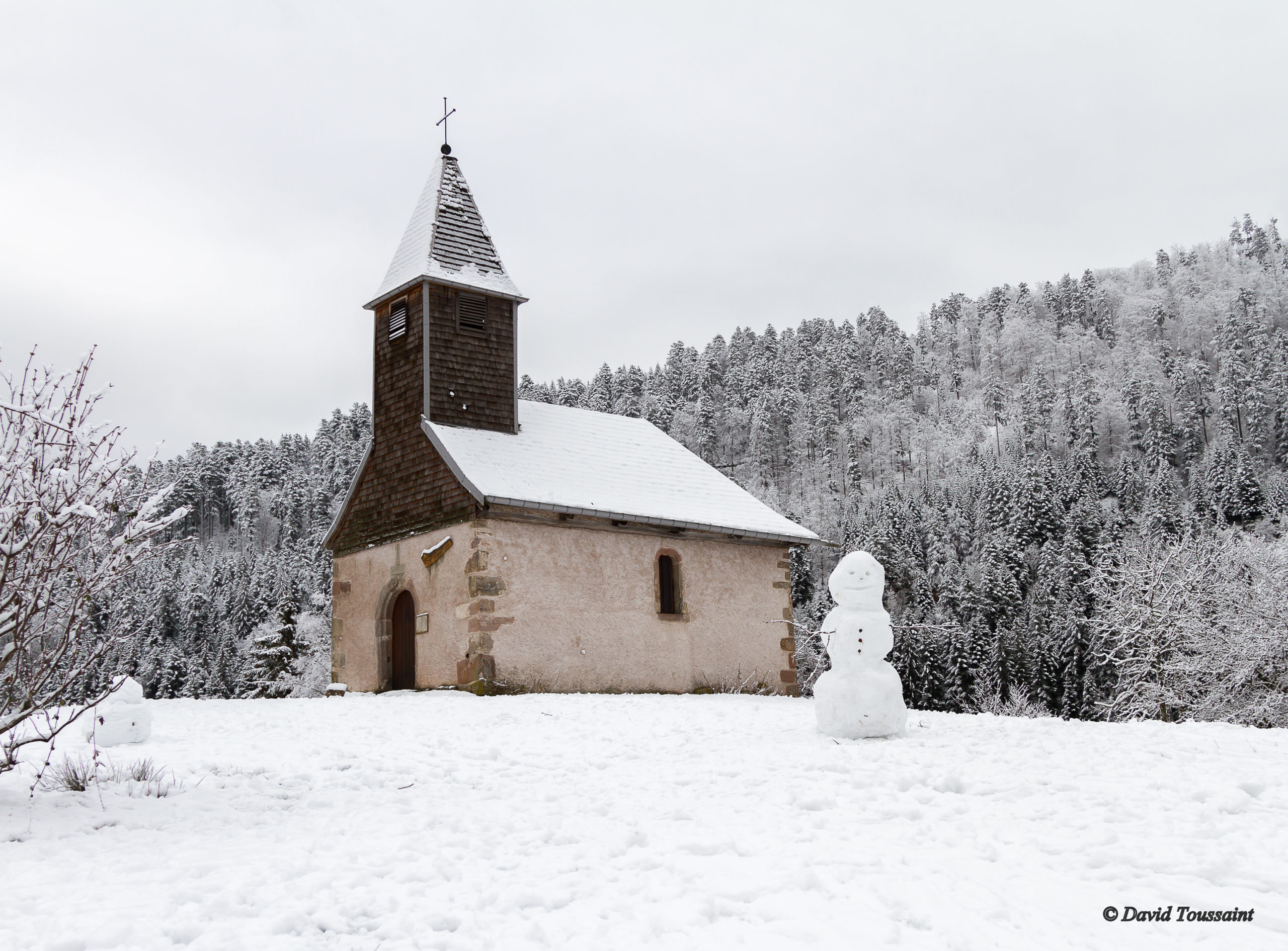 Longemer retournemer neige Janvier 2019 020