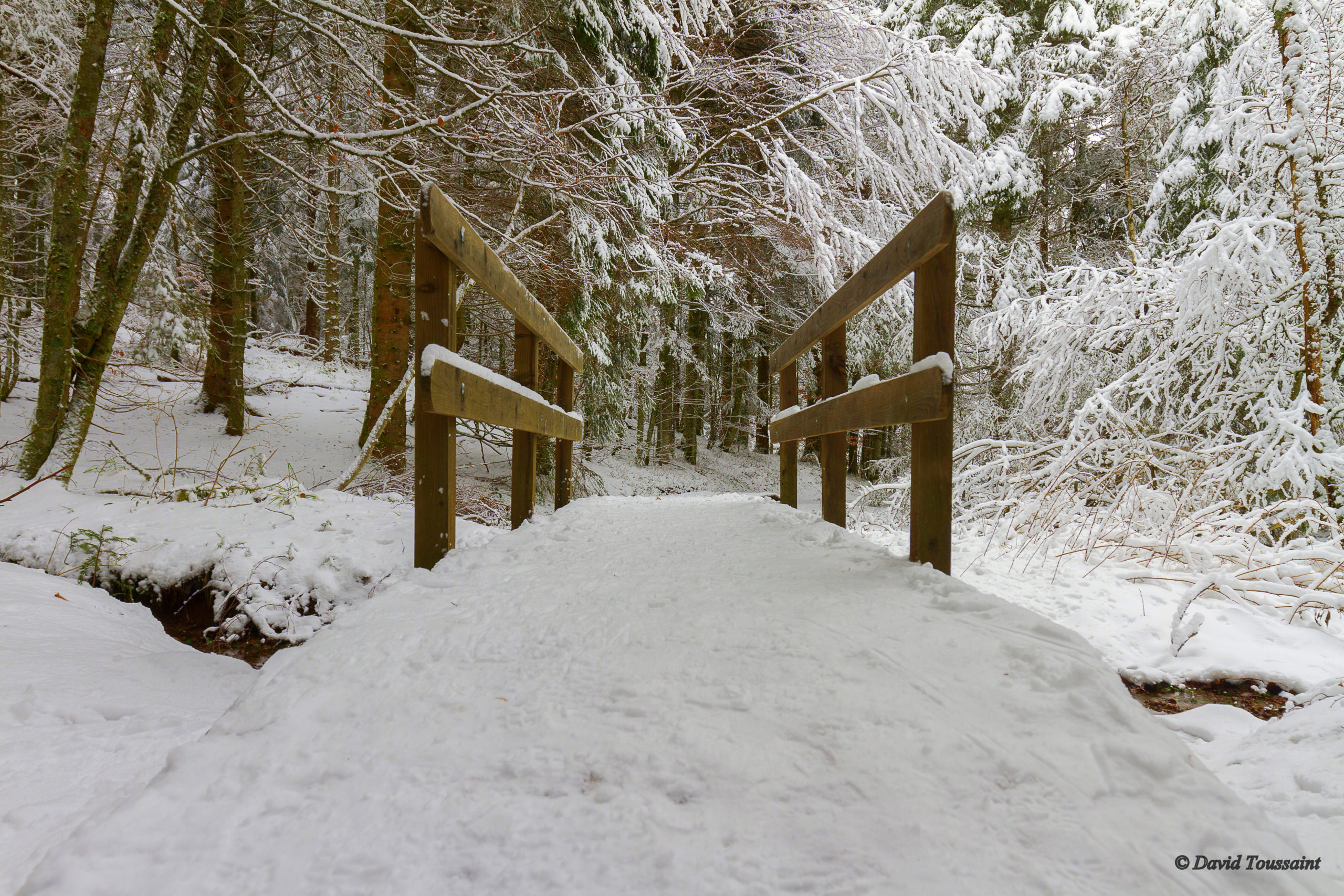 Longemer retournemer neige Janvier 2019 142