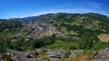 100% Vosges