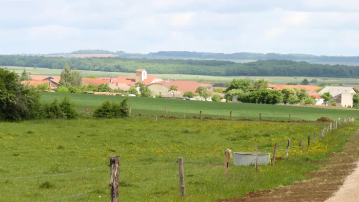 100% Vosges