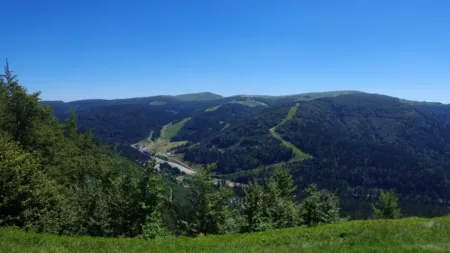 100% Vosges
