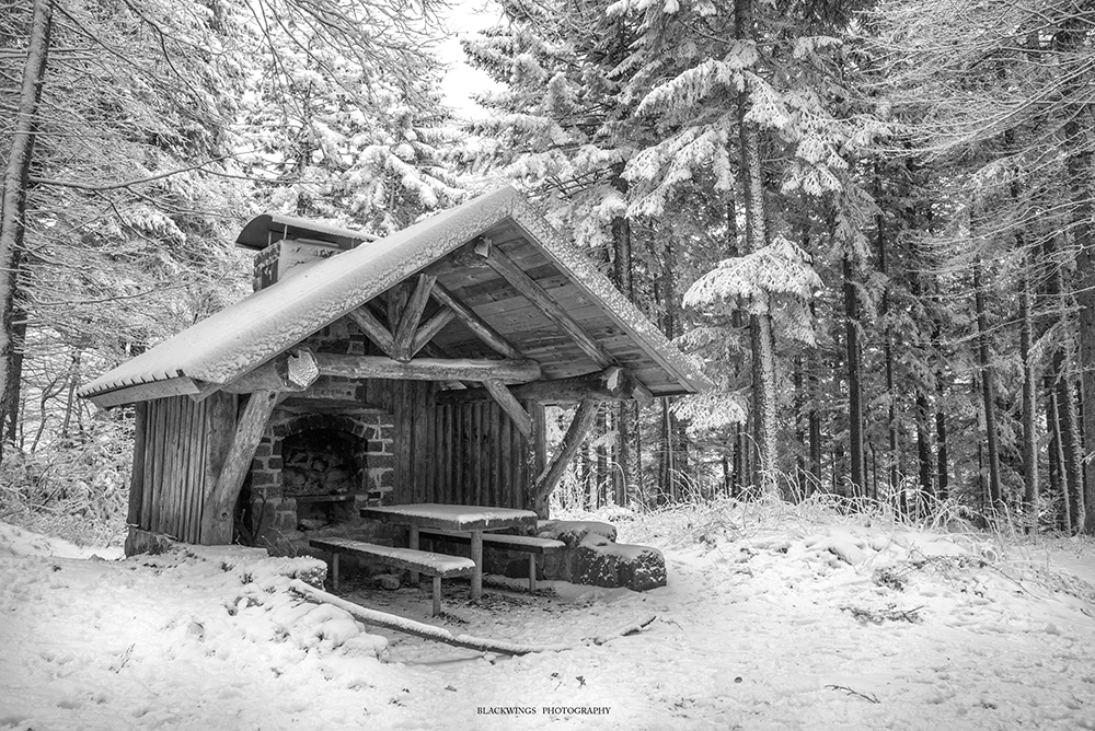 PhotoHiver2019