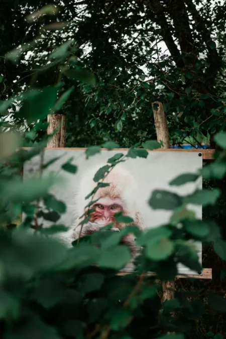 Reportage Sentier Photo les Haut-Du-Tot-HD-11