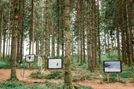 Reportage Sentier Photo les Haut-Du-Tot-HD-20