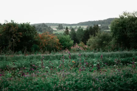 Reportage Sentier Photo les Haut-Du-Tot-HD-28