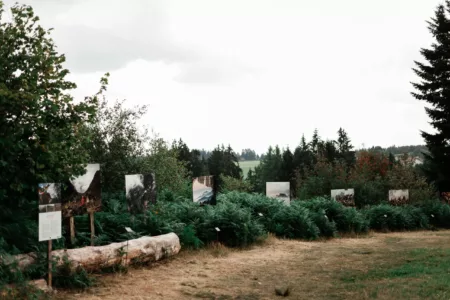 Reportage Sentier Photo les Haut-Du-Tot-HD-32