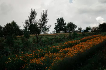 Reportage Sentier Photo les Haut-Du-Tot-HD-4