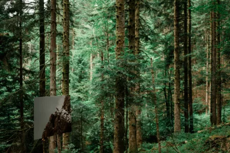 Reportage Sentier Photo les Haut-Du-Tot-HD-47
