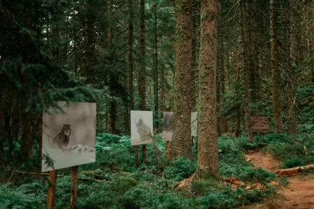 Reportage Sentier Photo les Haut-Du-Tot-HD-50