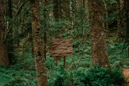 Reportage Sentier Photo les Haut-Du-Tot-HD-51