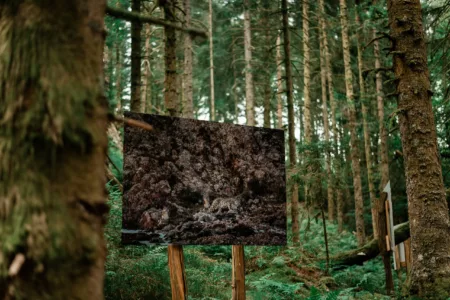 Reportage Sentier Photo les Haut-Du-Tot-HD-52