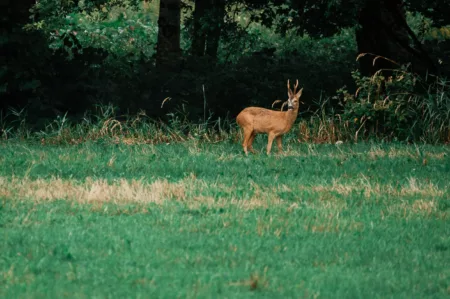 Reportage Sentier Photo les Haut-Du-Tot-HD-54