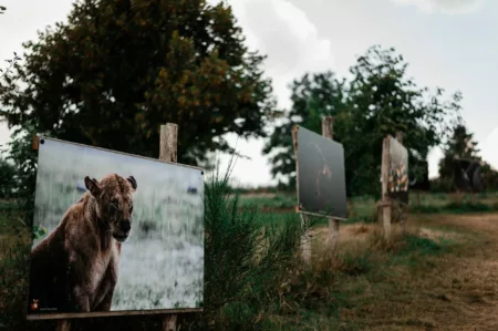 Reportage Sentier Photo les Haut-Du-Tot-HD-6