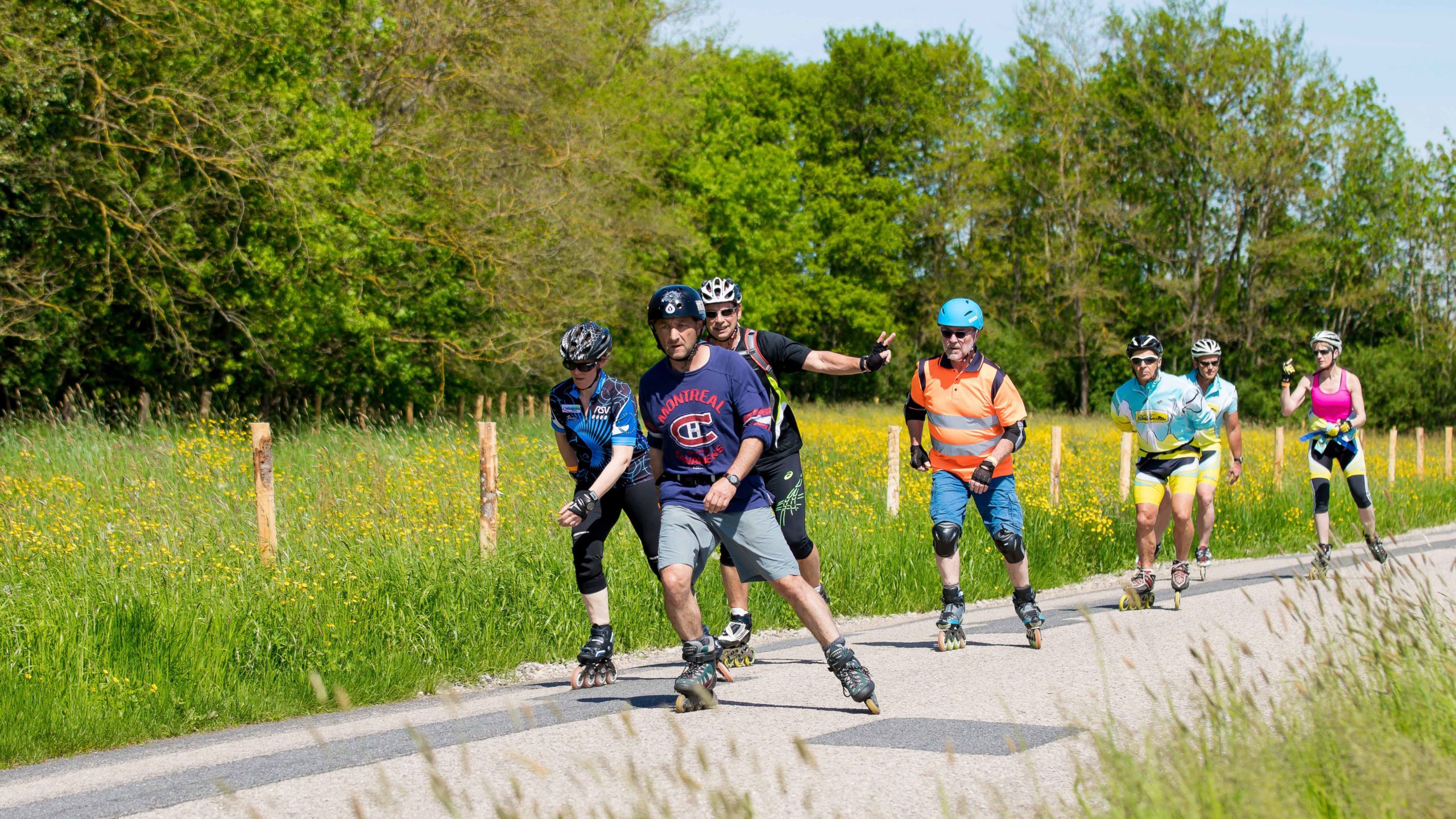 Roller 2017 (44)
