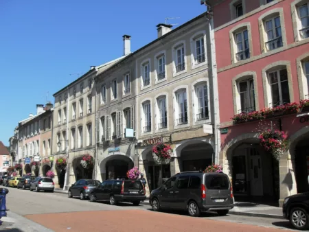 100% Vosges