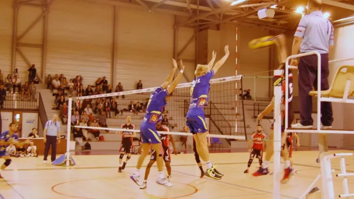 100% Vosges