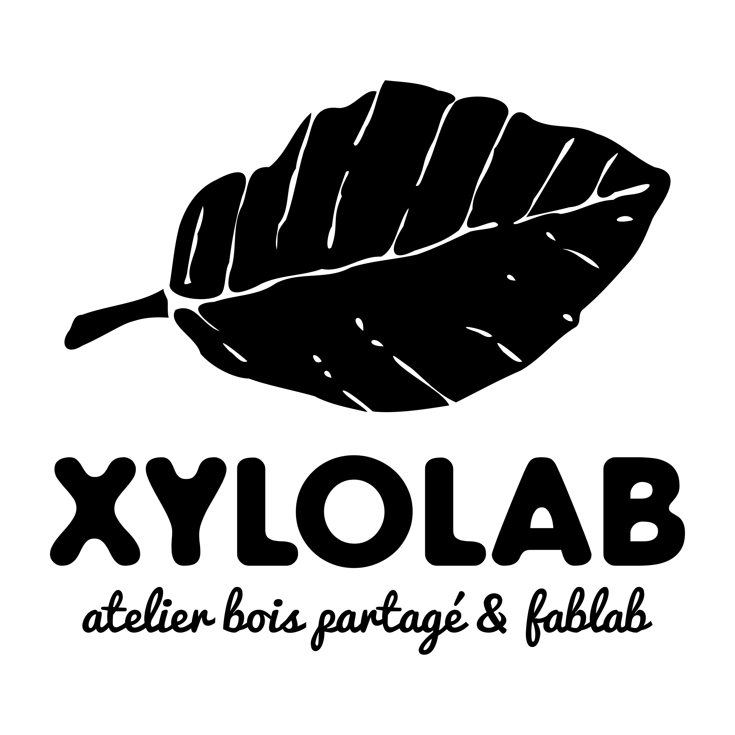 Xylolab_LogoFeuille2_transparent
