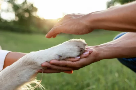 Comment va votre animal de compagnie ? À Saint-Dié-des-Vosges, le salon de protection animale s'en préoccupe