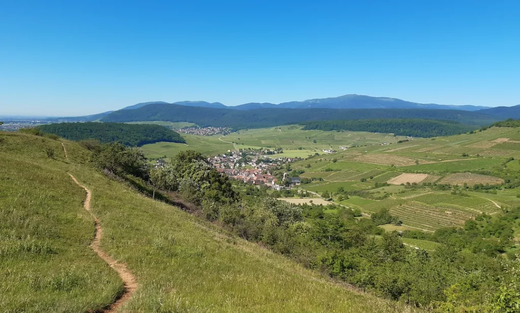 Journée des élus : l'adaptation au changement climatique en questions à Cornimont et Thiéfosse