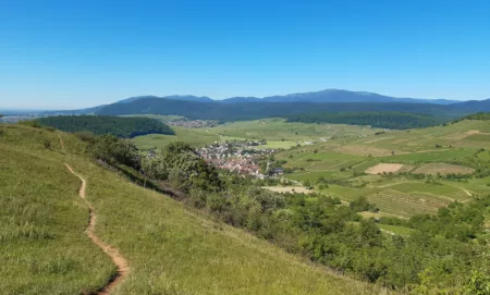 Journée des élus : l'adaptation au changement climatique en questions à Cornimont et Thiéfosse