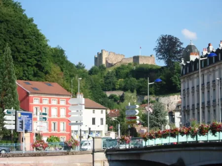 100% Vosges