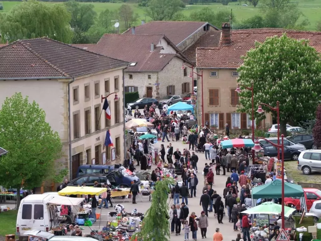 100% Vosges
