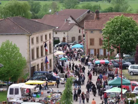 100% Vosges