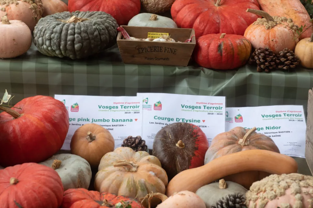 Fête de l'Automne : Contrexéville met en avant les bienfaits et les atouts de nos forêts