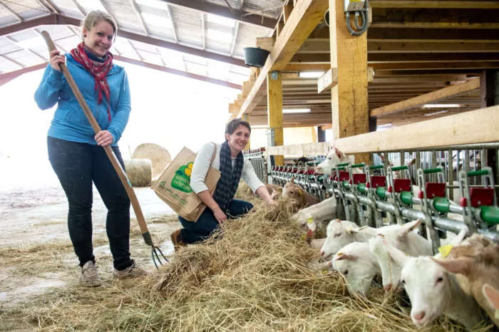 "Bienvenue à la ferme" : sept fermes vosgiennes ouvrent leurs portes au public