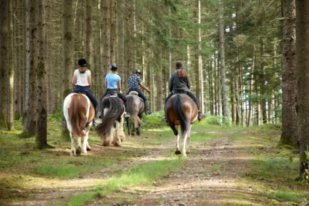 100% Vosges