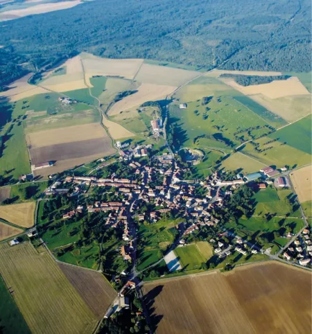 100% Vosges