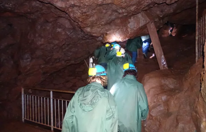 27e Nuit internationale de la chauve-souris : Immersion au coeur du biotope des Hautes-Mynes du Thillot
