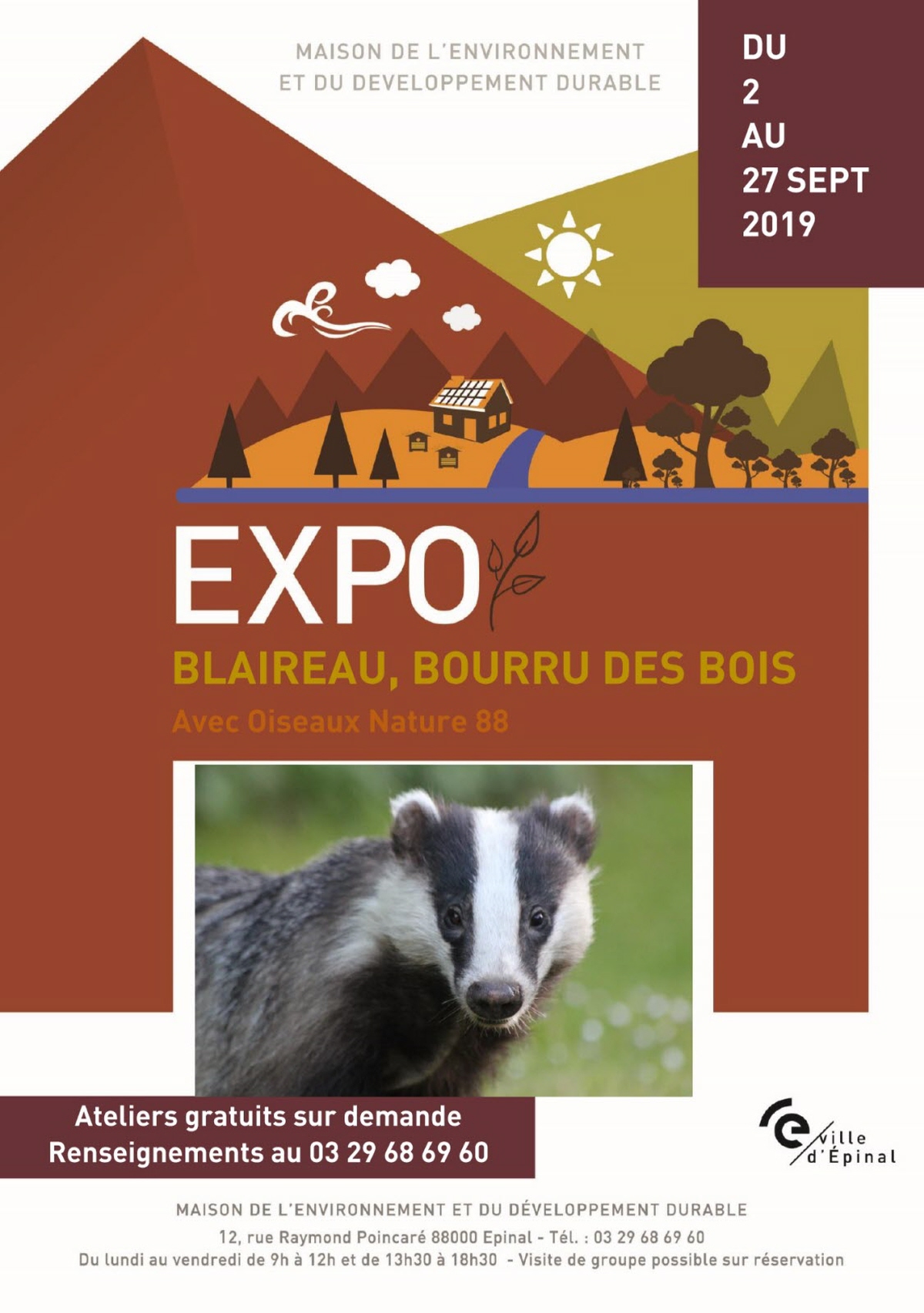 illustration-le-blaireau-bourru-des-bois