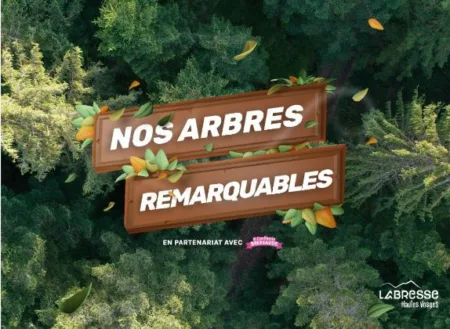 100% Vosges