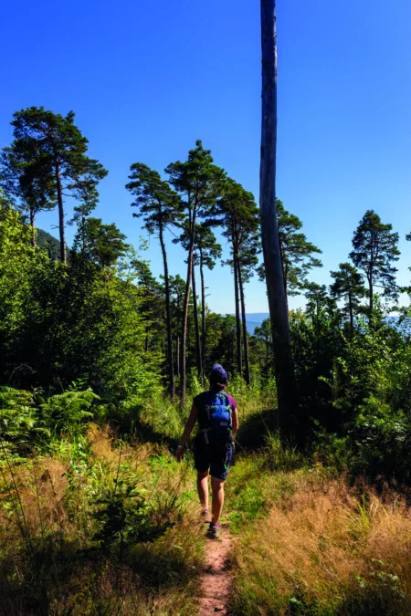 Les Grandes échappées vosgiennes : itinérances à pied sur les chemins de la Ligne Bleue des Vosges