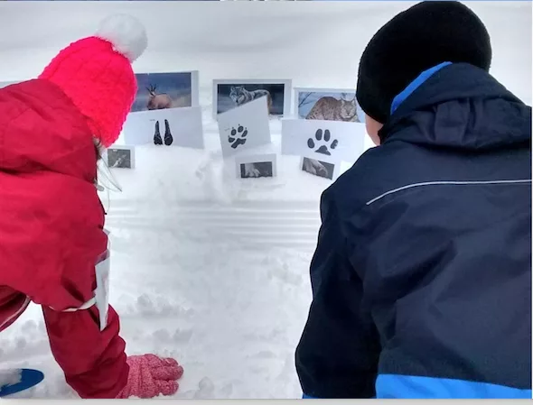 Des activités insolites à faire en famille à la neige avec Sens à Sons Nature à Gérardmer